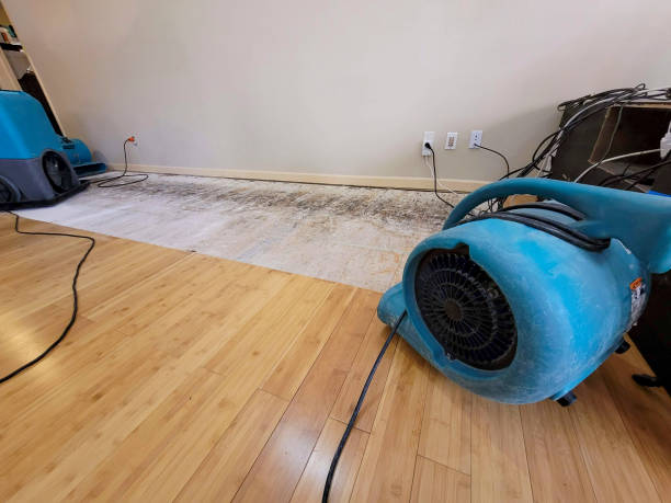Professional Flood Damage Cleanup technician working in Byers, CO